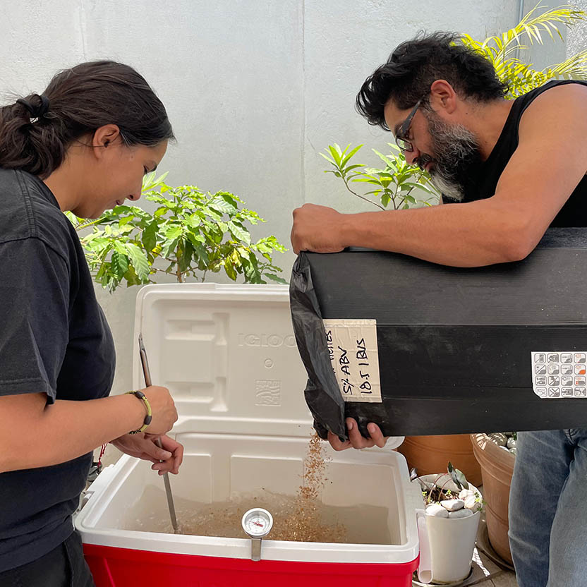 Preparando cerveza artesanal